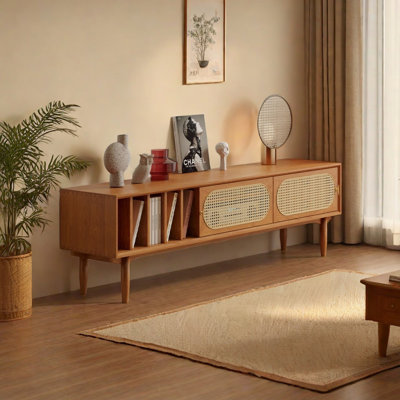 Solid Wood and Rattan TV Stand