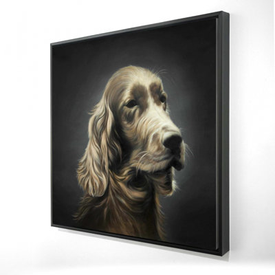 " Field Spaniel "
