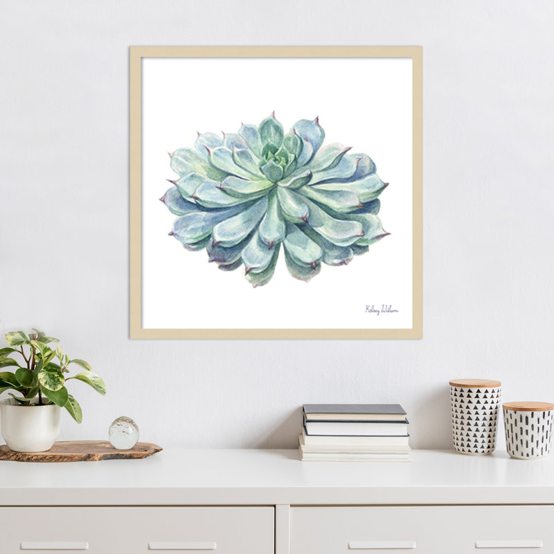 «Simple Succulents I» par Kelsey Wilson, impression sur bois encadrée, H 25 po x l 25 po