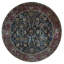Wool Oriental Area Rug