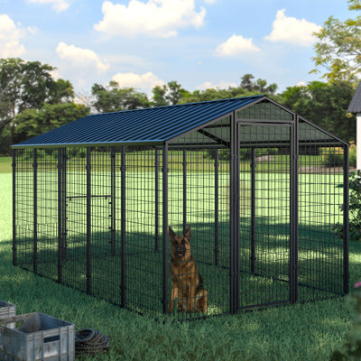 Très grande cage pour chien 10,6 pi x 6,2 pi avec espace d'activité