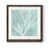 Papier, cadre noyer