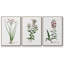 " Rose Botanical I " 3 - Pieces-91891242-91891244