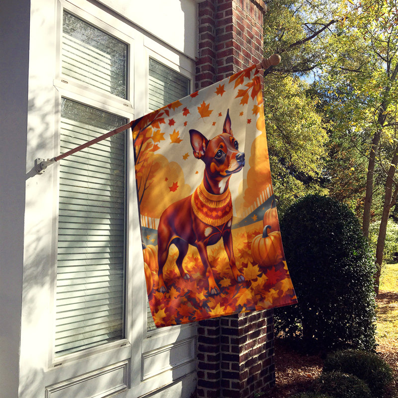 Drapeau de maison en polyester à double face H 40 po x l 28 po