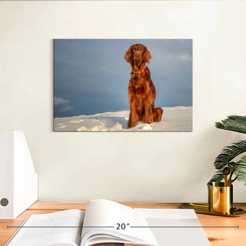 Brampt Irish Setter On Snow, 8" H x 12" W