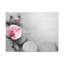 No Frame Print on Canvas-1925747519