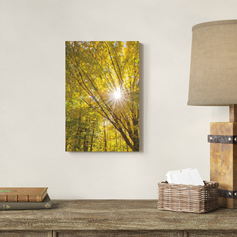 Feuillage d'automne Sunburst I, H 18 po x l 12 po