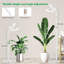 Naomi Grow Light