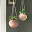 Mercer Clay Hanging Planter