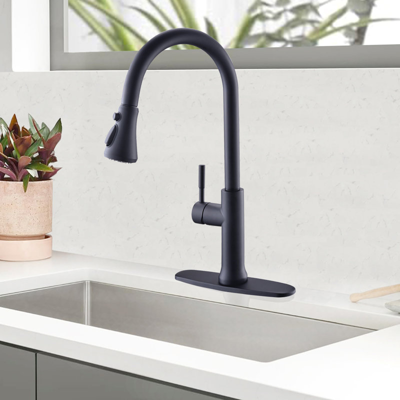 GAWEZA Pull Down Kitchen Faucet