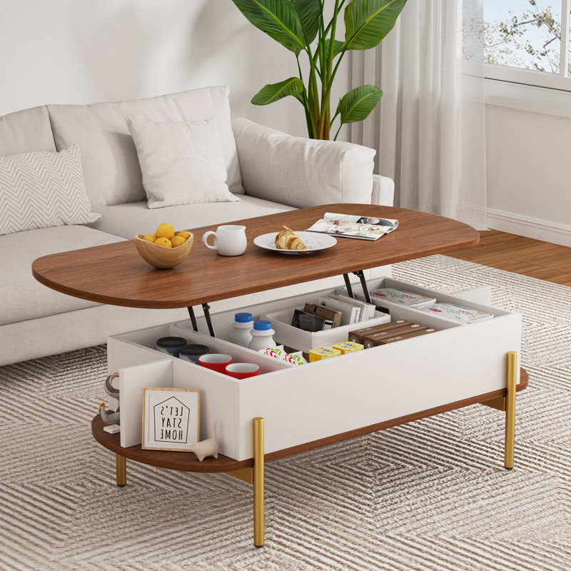 Molter 48" Oval Lift Top Coffee Table With Storage Open Shelf Living Room, Brown/White/Gold