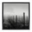 «Vineyard at Dawn» par Chip Forelli-1290297193-1277179632