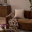 Vienna Lumbar Throw Pillow-1345513850-1345513849