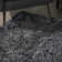 Petrey Indoor Rug