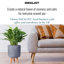 Concrete Effect Cylinder Round Planter on Hardwood Legs, Round Indoor Plant Pot Stand for Indoor Plants, Indoor Flower Pot with Honeycomb Pattern-89142829-89142826