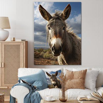 " Gray Donkey Portrait Vibrant "