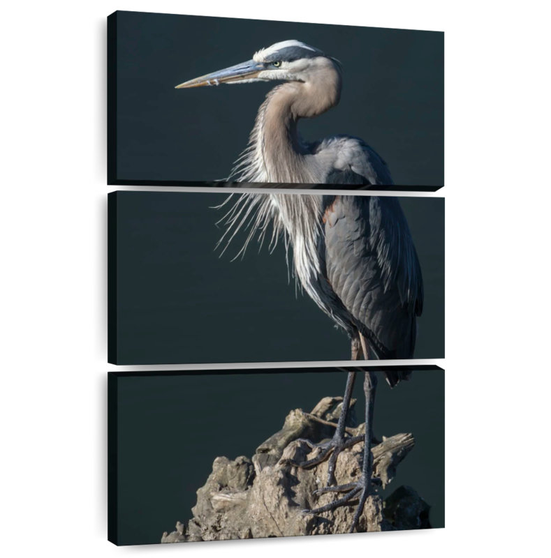 Brampt Great Blue Heron Bird, 32" H x 20" W