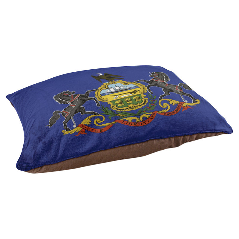 Coussin de créateur drapeau Burien, L 19,5 po x l 29,5 po, Marron foncé