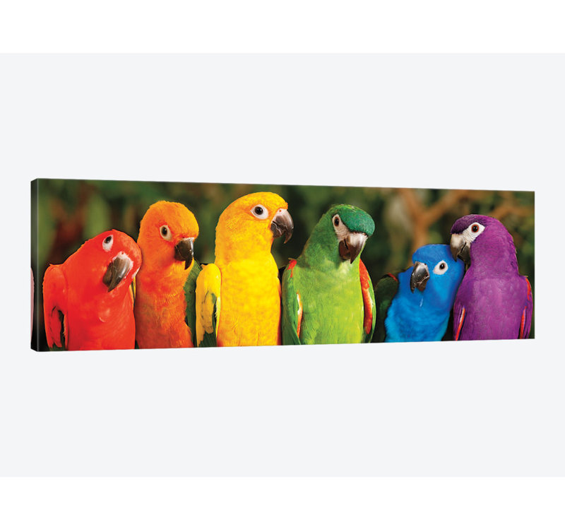 «Rainbow Parrots», impression sur toile tendue, H 24 po x l 72 po x P 1,5 po, Toile tendue