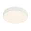Rynn 5-in Black dimmable LED Flush Mount-1526963964
