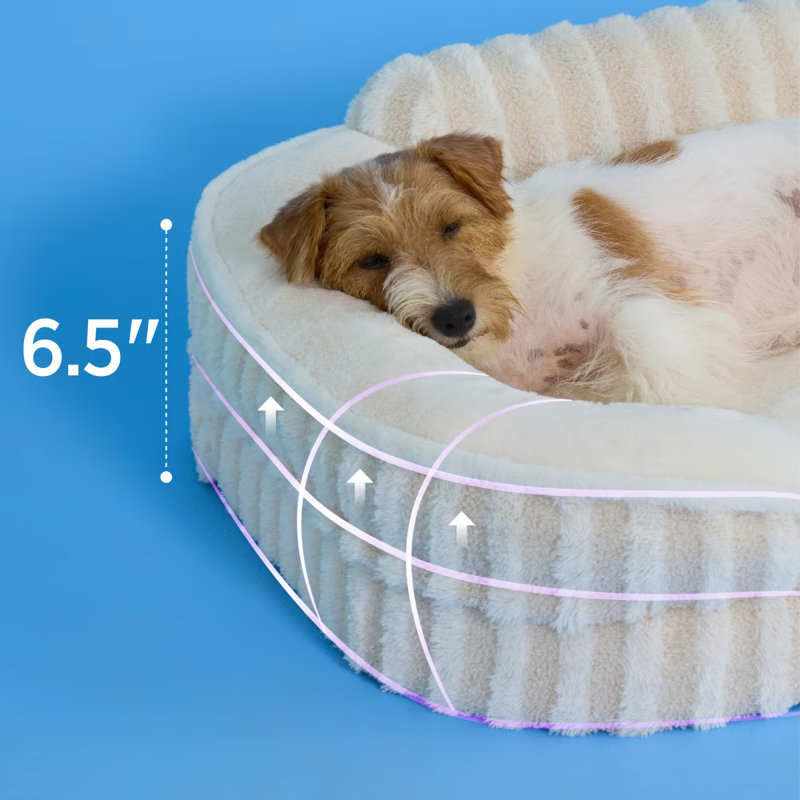 Lit pour chien Lesure, lit orthopédique imperméable pour animaux de compagnie avec côtés, fond antidérapant à haut dossier et canapé en mousse pour caisse d'œufs avec housse amovible et lavable