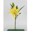 4 pièces fleur de lis artificielle-1564486391