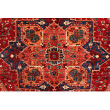 Aryana Wool Oriental Area Rug