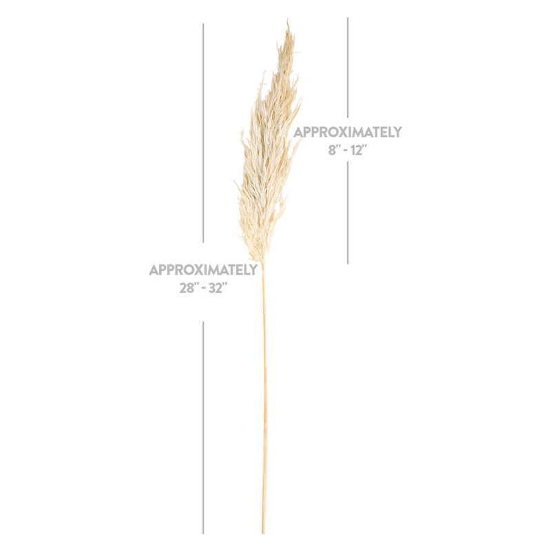 30'' Grass, White