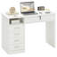 Computer Desk-1069455480