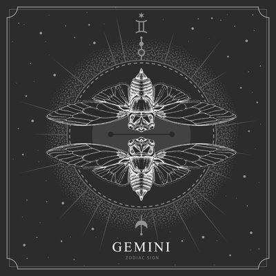 " Gemini Zodiac Sign "