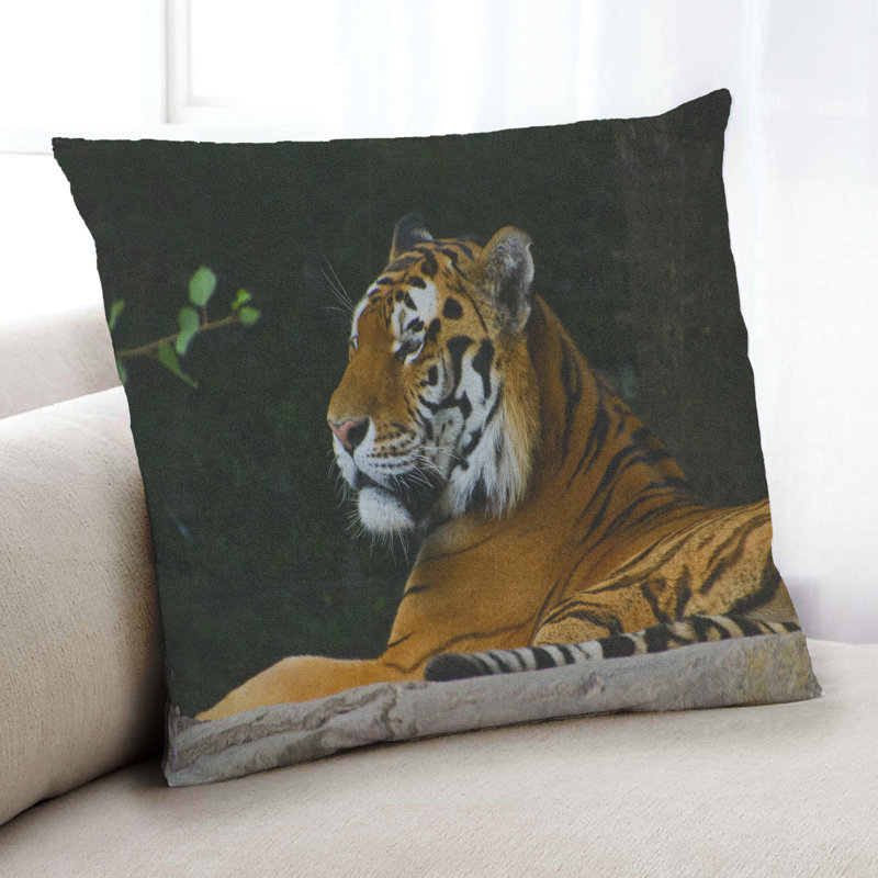 Throw Pillow, Microsuede