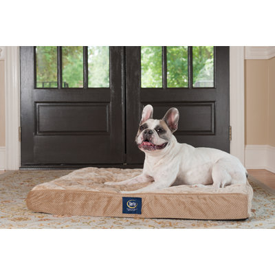 Serta Quilted Pillowtop Pet Bed
