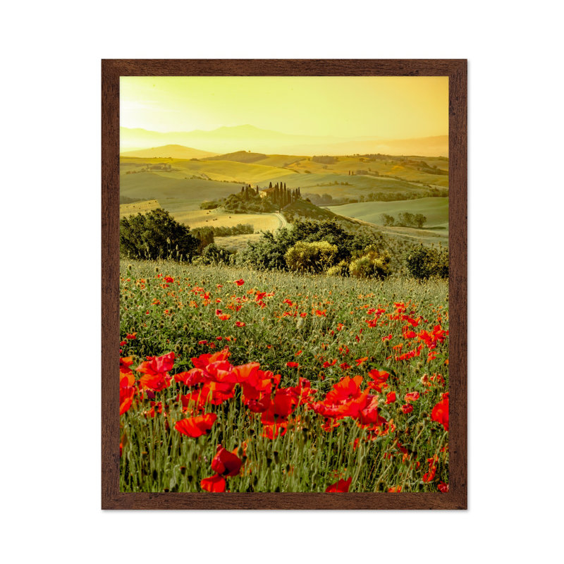 Fleur de coquelicot, Poster, Brown Framed, 11"H x 14"W