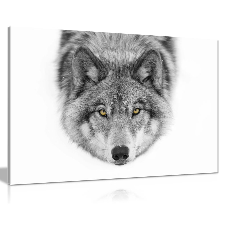 Wolf - Wrapped Canvas Print, 20cm H x 31cm W