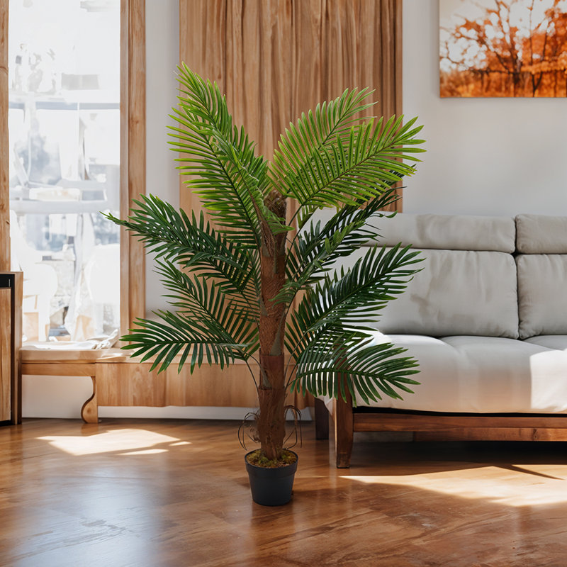 Plant, 120cm H x 80cm W x 80cm D