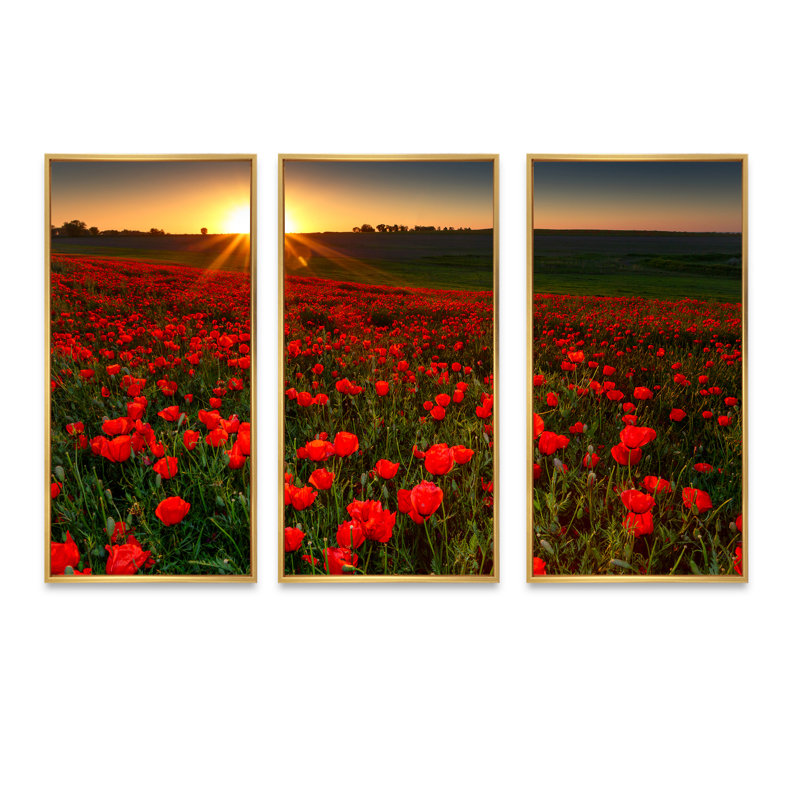 Coucher de soleil sur un jardin avec coquelicots rouges - ensemble de 3 toiles encadrées florales, H 32 po x l 48 po x P 1 po