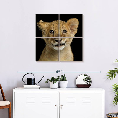 Petite tête de lion