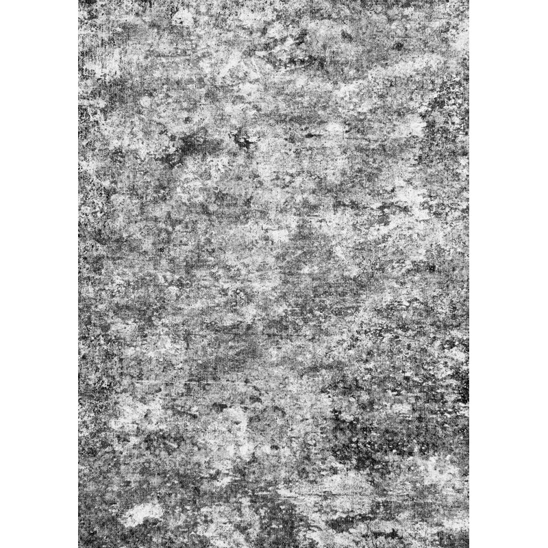 Machine Washable Area Rug Soft Vintage Low Pile Rug with Non Slip Backing for Bedroom Entrance Corridor