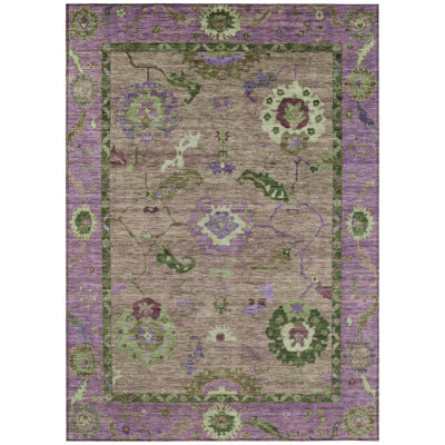 Machine Washable Indoor/Outdoor Chantille ACN2230 Global Rug