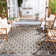 Amarien Performance Geometric Indoor/Outdoor Area Rug