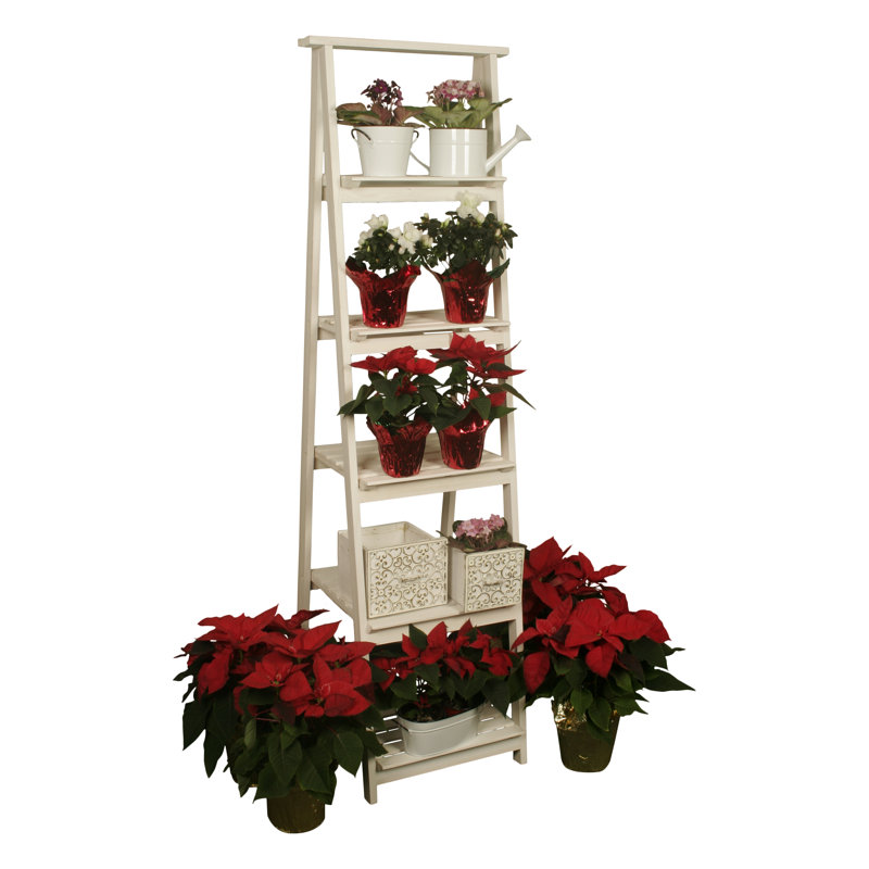 Highlandville Ladder Bookcase