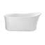 Eryn 60" Freestanding Soaking Bathtub-1673349469