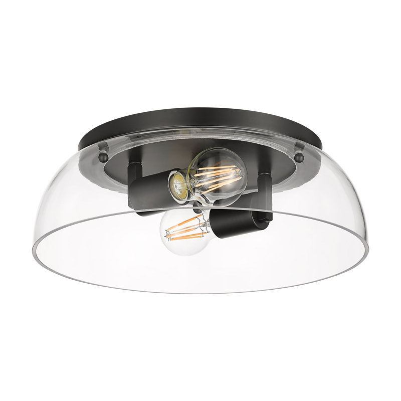 Iftimie 14" Flush Mount with Clear Glass, Matte Black