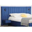 Azaleya Upholstered Ottoman Storage Bed-1853816731