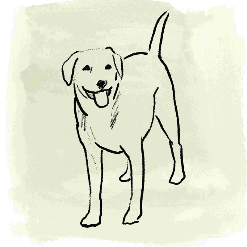Simple Happy Dog par - on, H 12 po x l 12 po