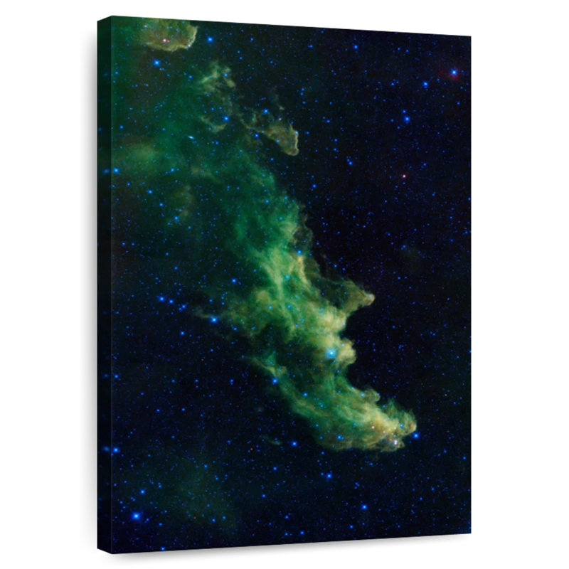 Oberle Witch Head Nebula, 51" H x 34" W