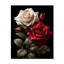 Amour éternel blanc et rose - Très grandes horloges murales florales-99632750