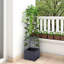 Plant Stand