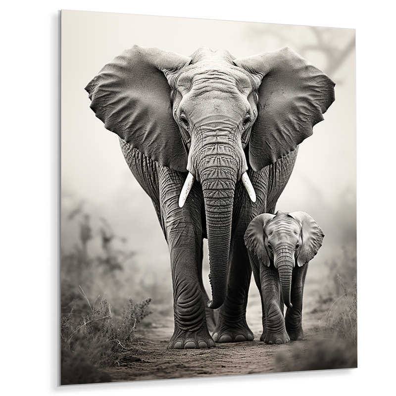 Éléphant chuchotant d'Afrique II - animaux éléphant, impression sur métal, H 44 po x l 34 po