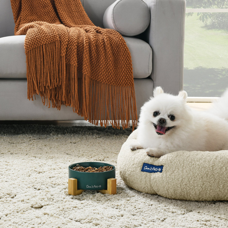 Coco Pet Bowl, Green